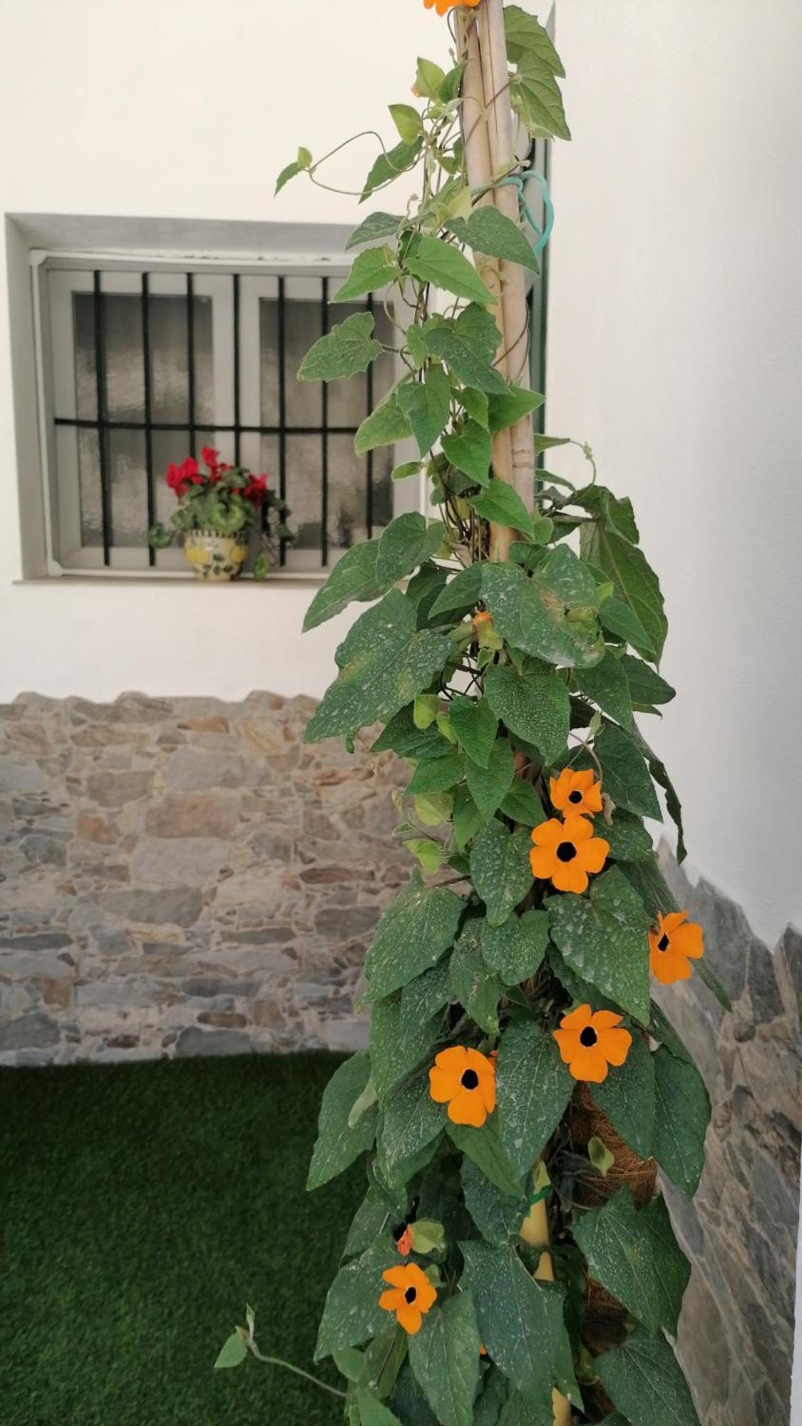 Ferienwohnung La Casa De La Abuela Pinos Genil Exterior foto